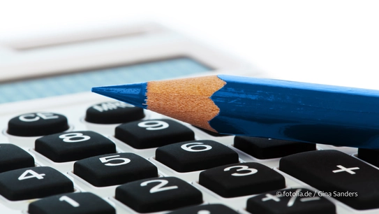 Profitieren Sie von den aktuell historisch günstigen Konditionen beim Bau Ihres Einfamilienhauses. (Foto: © fotolia.de / Gina Sanders)