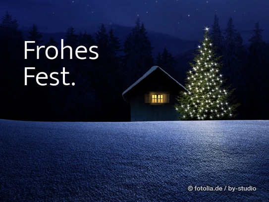 BAUMEISTER-HAUS wünscht ein frohes Weihnachtsfest. (Foto: © by-studio/Fotolia.com)