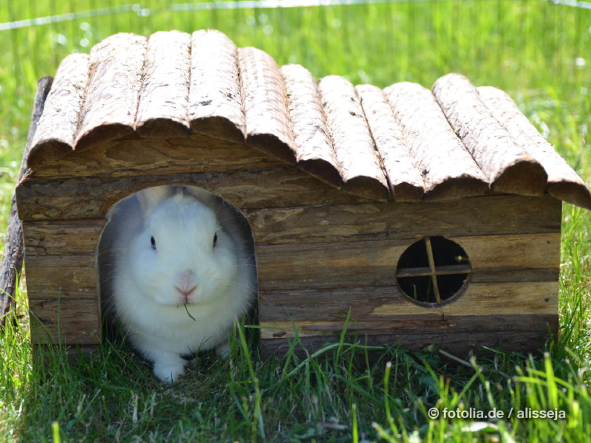 Auch unseren hoppelnden Vierbeinern kann man gutes tun mit einem kleinen Rückzugsort aus Holz gebaut.  (Foto: © alisseja/Fotolia.com)