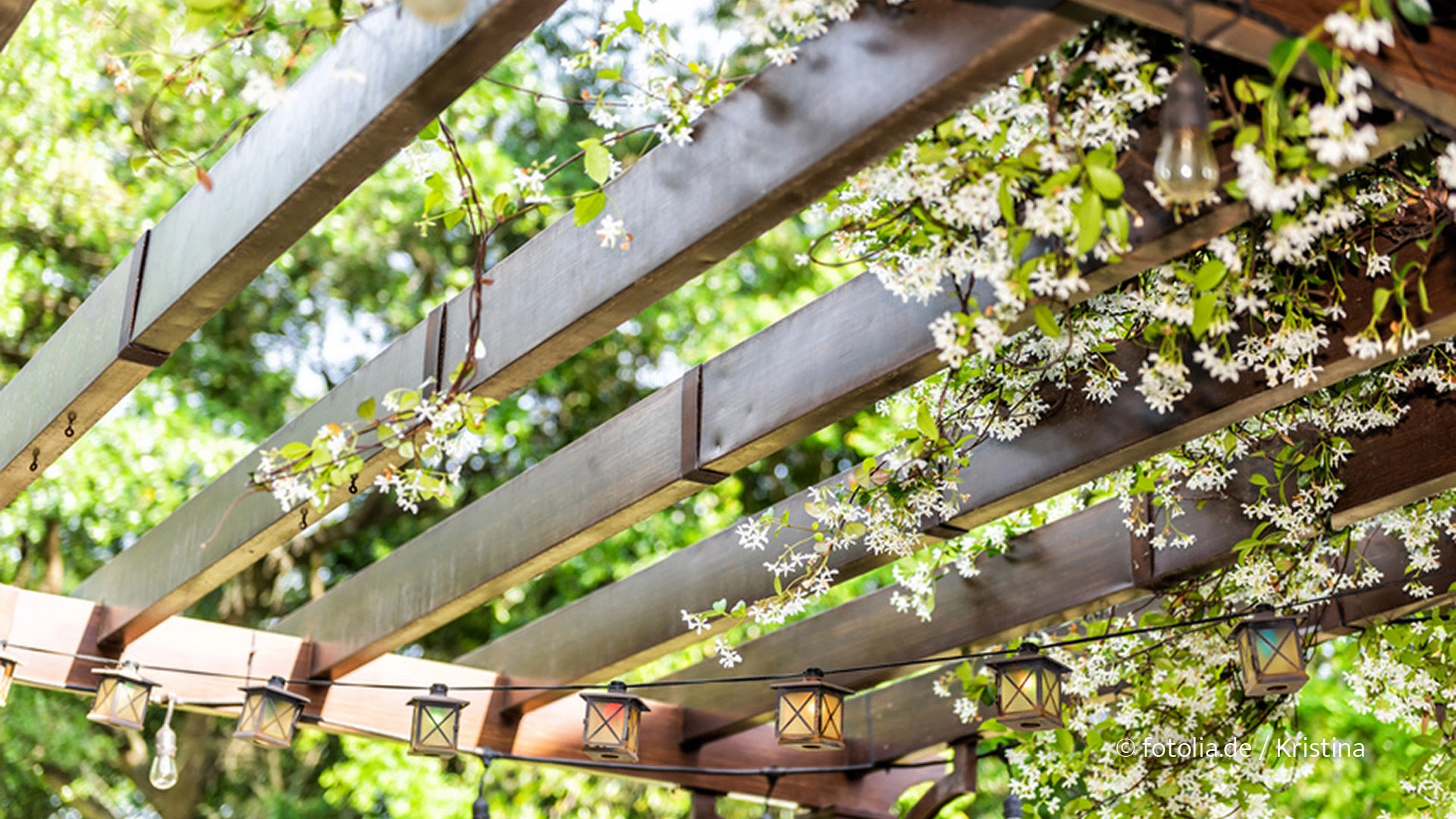 Unter der bewachsenen Pergola kann wunderbar im natürlichen Schatten entspannt und geträumt werden. (Foto: © fotolia.de / Kristina)